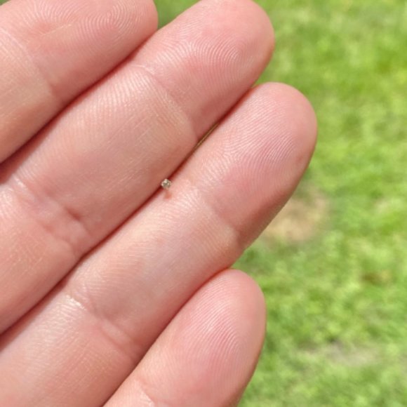 COPY - Tiny 1mm Diamond Gold Nose Ring Nose Stud Nose Piercing - Picture 7 of 8